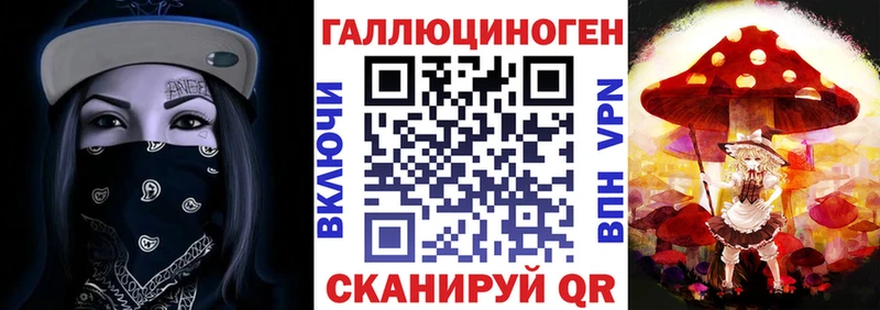как найти   Камбарка  Галлюциногенные грибы Psilocybe 